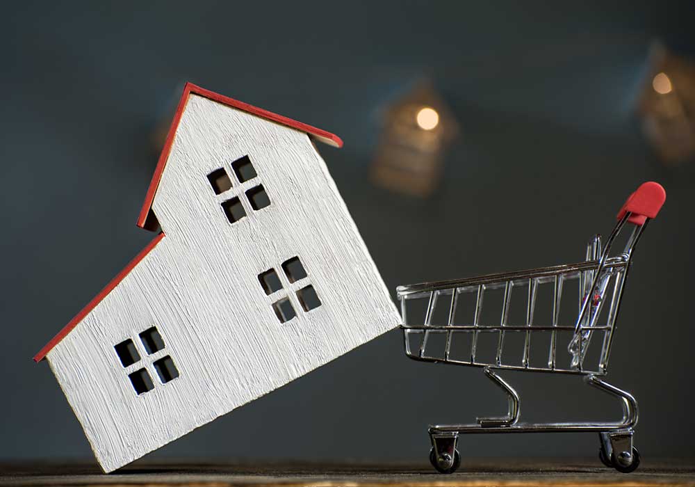 دسته بندی حقوق ملکی